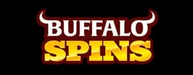  secondary logo